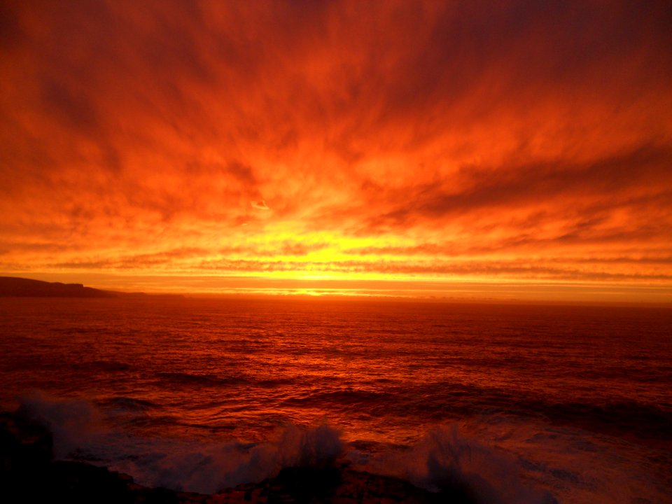 The catlins, New Zealand, Yellow