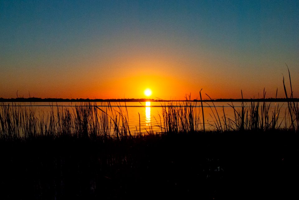 Mount dora, United states, Sunset