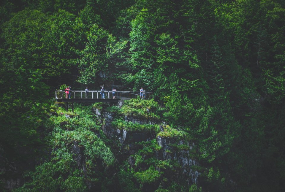 Canada, Qubec city, Cliff