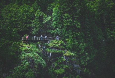 Canada, Qubec city, Cliff
