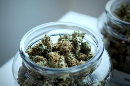 green cannabis on clear glass jar photo