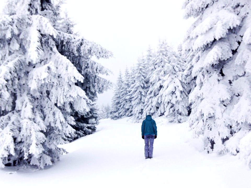 Ostrun 340, 788 25 ostrun, Czechia