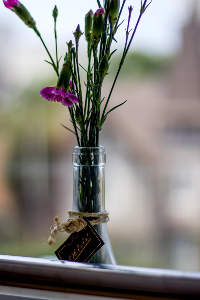50mm, Canon, Aperture