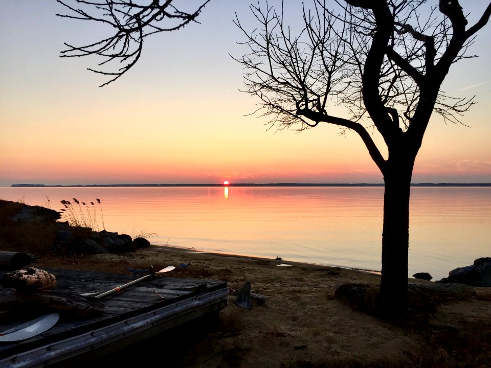 2886 cox neck rd, Chester, United states