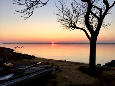 2886 cox neck rd, Chester, United states