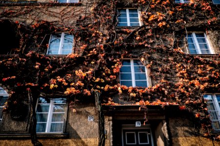 Berlin, Germany, Windows