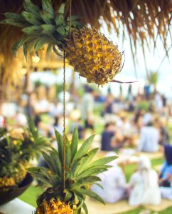 hanged pineapple fruits photo