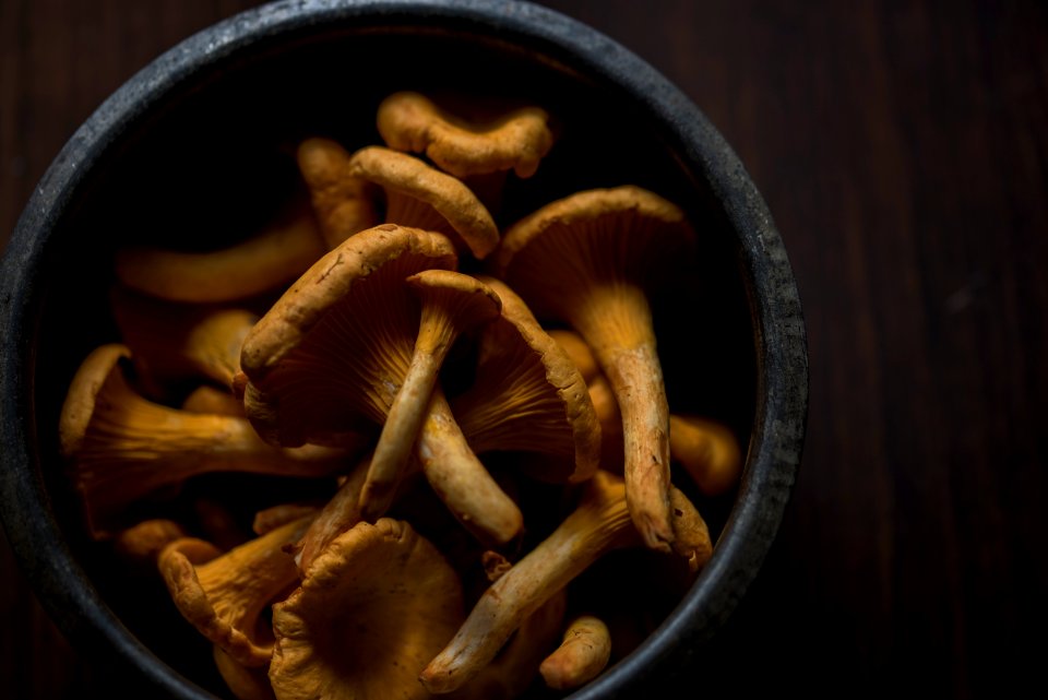 bunch of mushroom in bowl