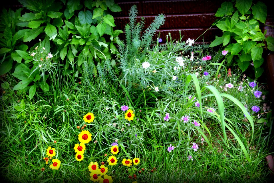 Trumbull, United states, Summer