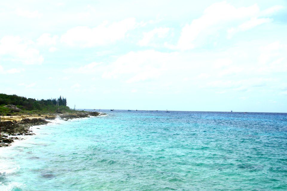 Mexico, Cozumel, Shore