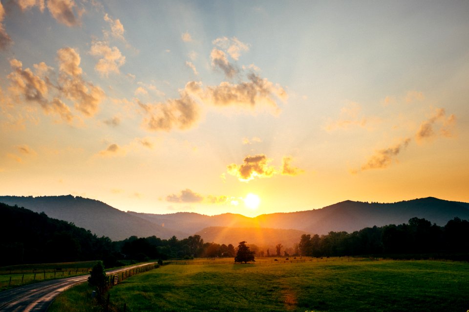 Lowgap, Farm, North carolina