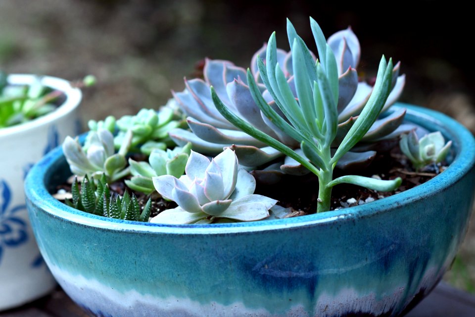 Pot, Hob