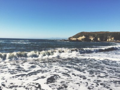 Baywoodlos osos, United states, California