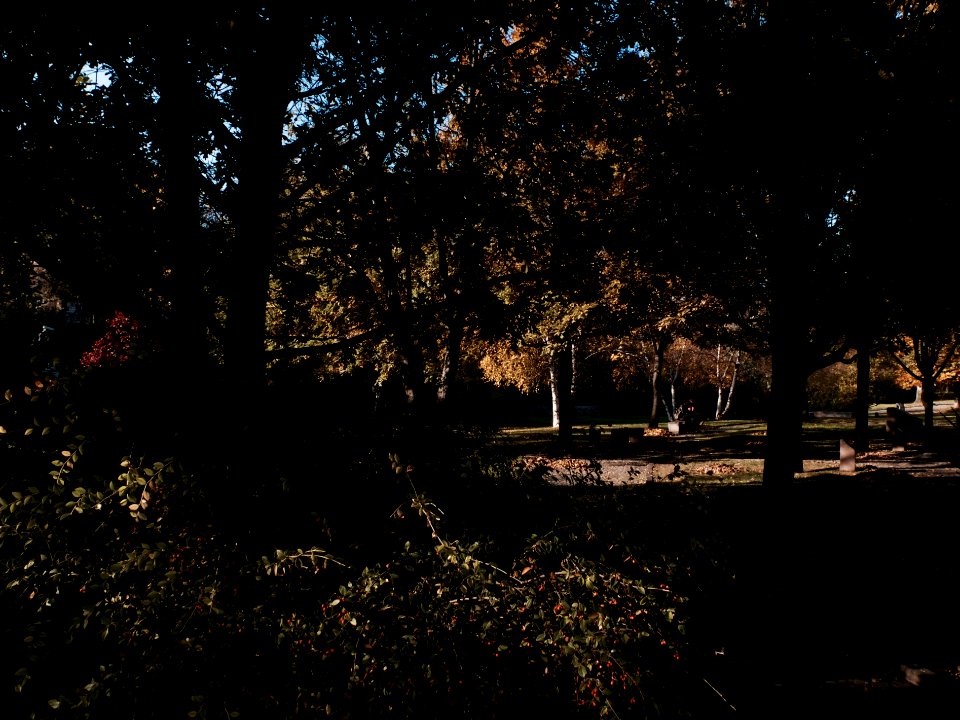 Meclis park, Ankara, Turkey