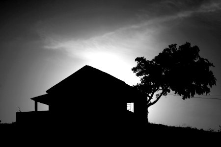 Goi nia, Brazil, Black white