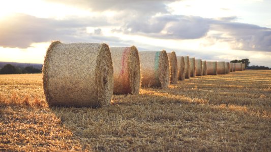 Londesborough, United kingdom, Summer
