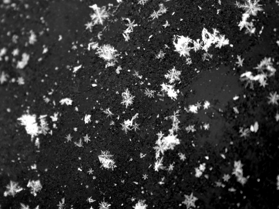 Trumbull, United states, Snowfall