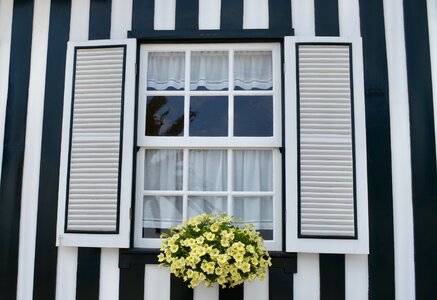 Window portuguese architecture