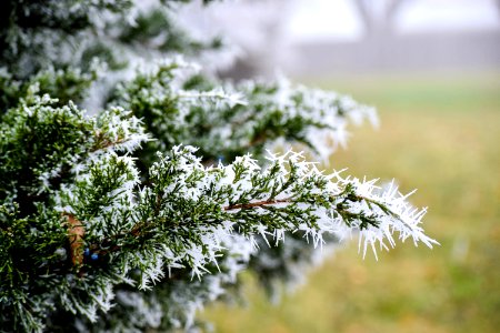 Cedarville, United states, Weather photo