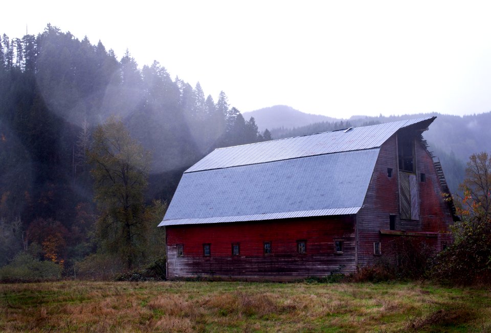 red and gray shed near the forest