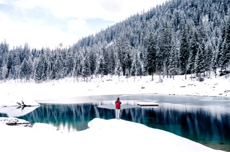 person standing beside body of water surrounded by snow field near trees photo