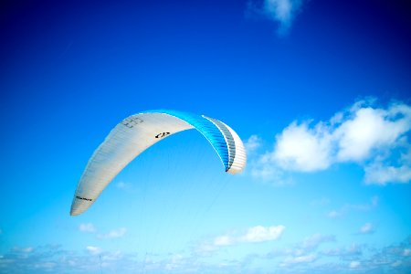blue and white paragliding photo