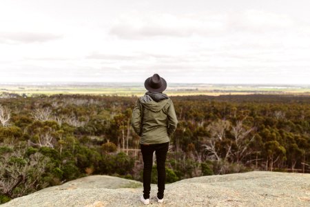 man standing on mountain viewing forest