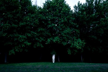 person standing under green leaf tree at daytime photo