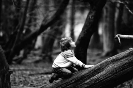 boy climbing fallen tree photo