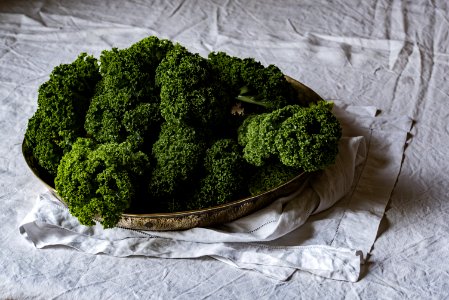 green leaf plants in gold-colored tray photo