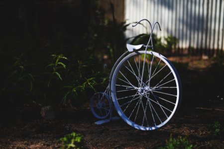 Vintage, Garden, Bike