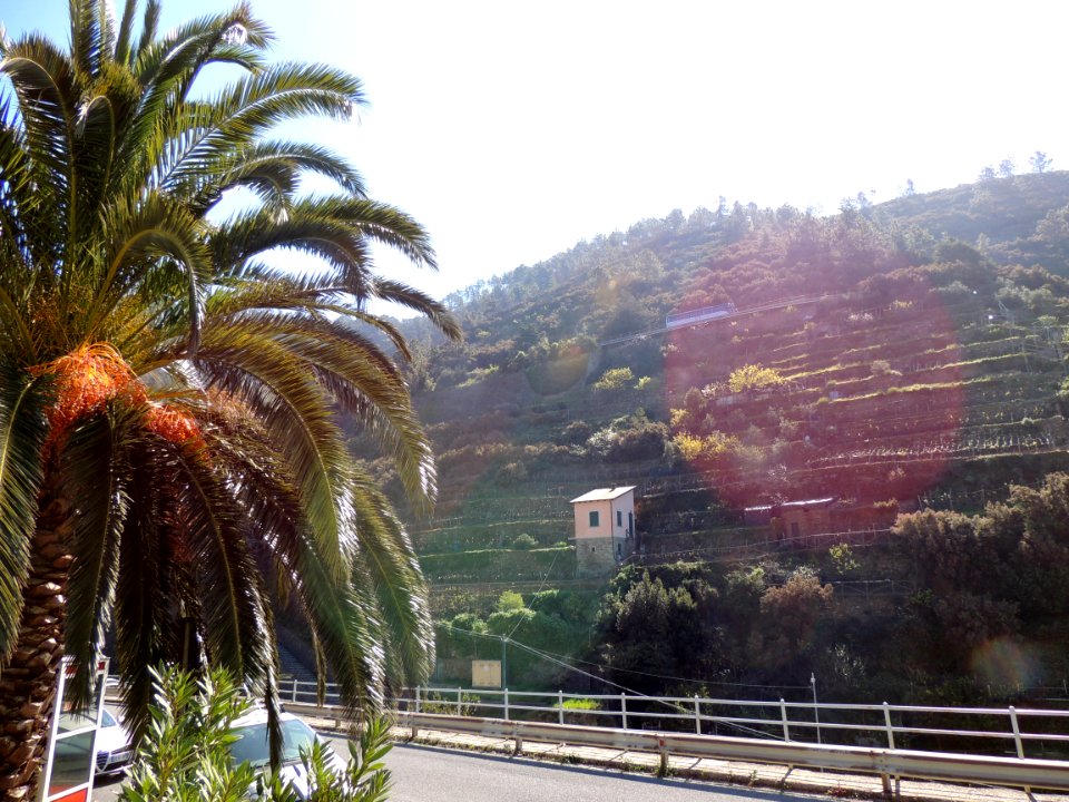 Cinque terre, Italy, Travel