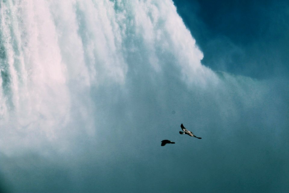 Niagara falls, Canada, Nature