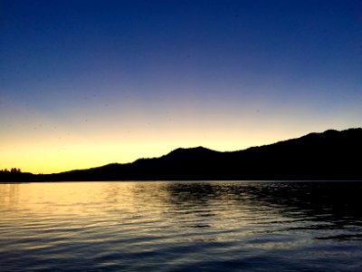 Lake quinault, United states, Sunset photo