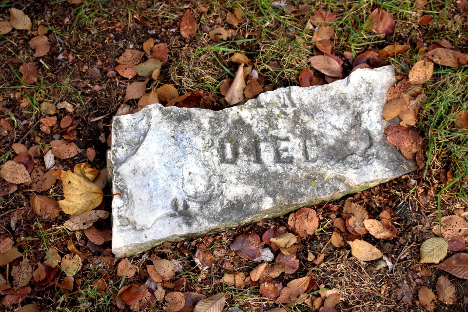 Naperville, United states, Grave