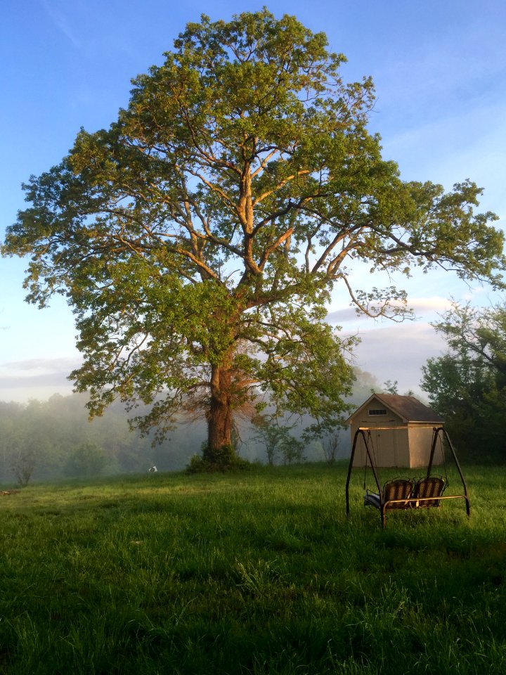 Greenville, United states, Peaceful