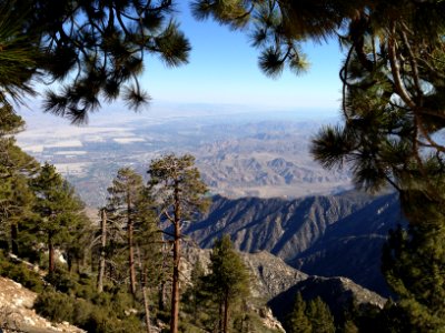Mount san jacinto, United states, California