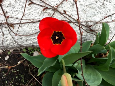 Minneapolis, United states