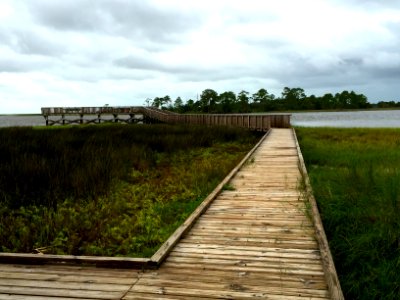 Shell mound trail, Cedar key, Fl 32625 photo