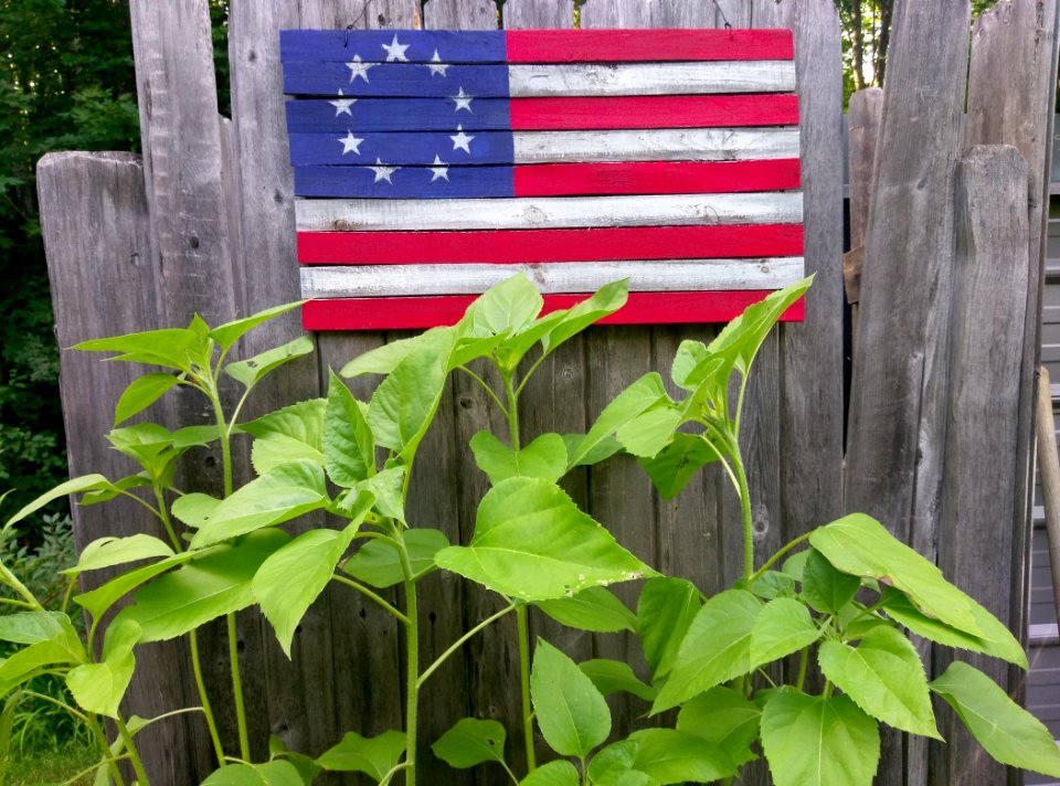 United states