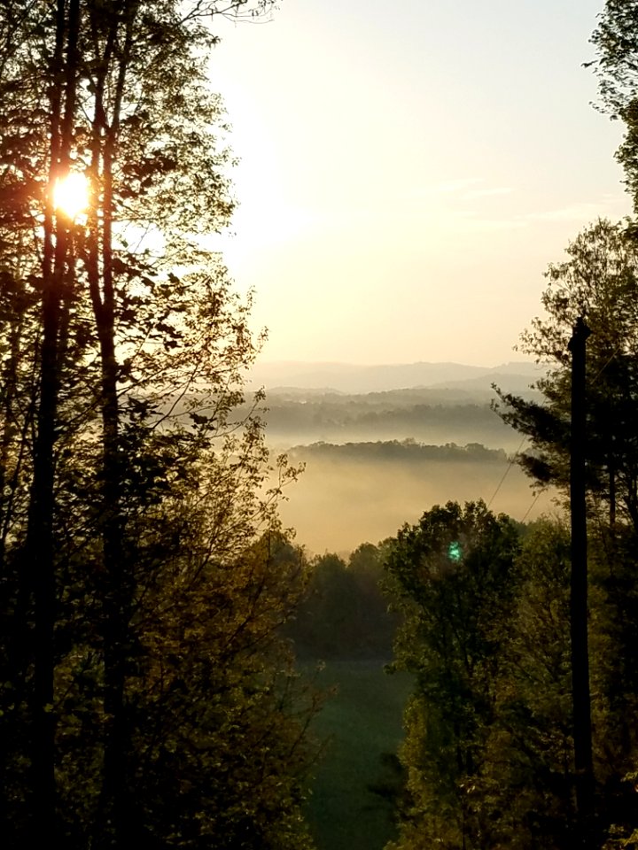 Forest hill, United states