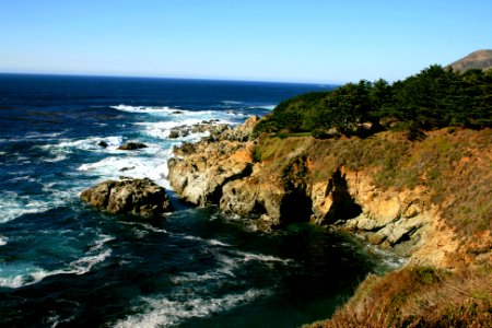 Big sur, United states, Trees