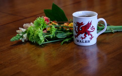 Mug, Tea, Coffee photo