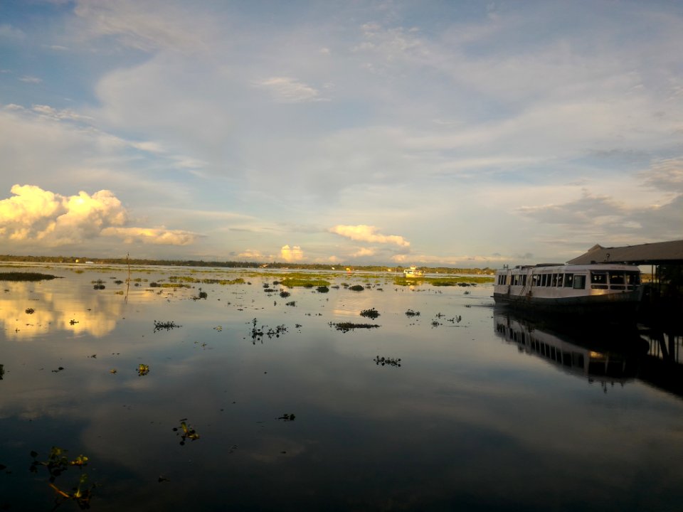 Thavanakkadavu vaikom ferry, Thavanakkadavu, India