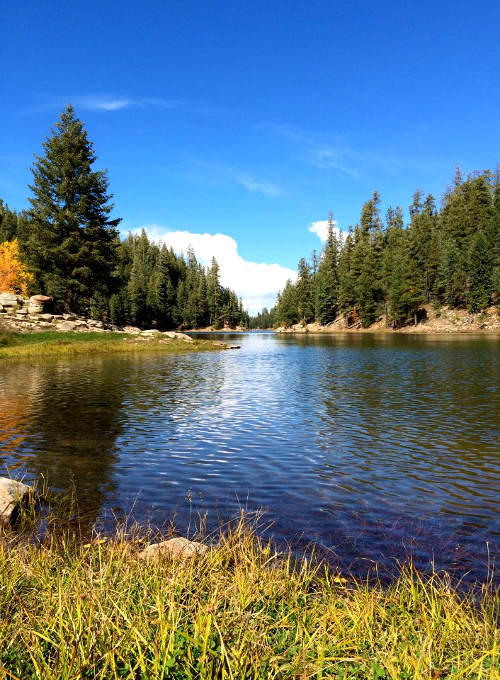 Bear canyon lake, United states, Nature