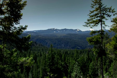 Fifes ridge, United states, Forest photo