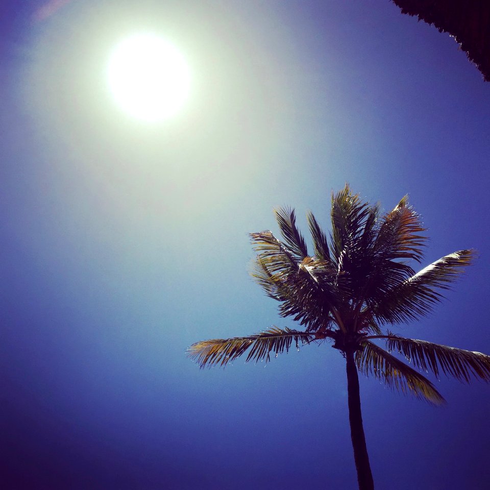 Bel ombre, Mauritius, Heat