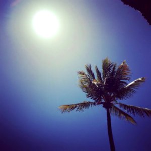 Bel ombre, Mauritius, Heat