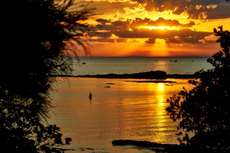 Swimmer, Beach, Sunset
