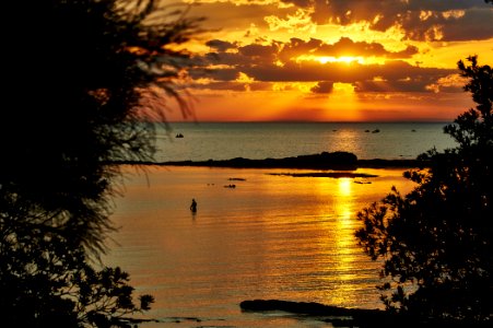 Swimmer, Beach, Sunset photo